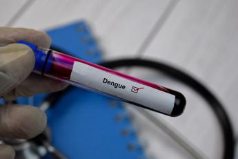 dengue in italia cosa fare contro il virus le indicazioni in uno studio 2
