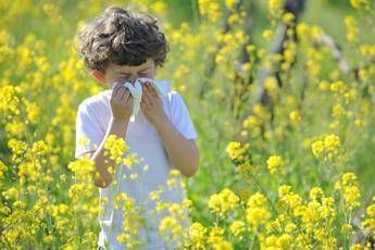 naso chiuso starnuti e lacrime arrivano le allergie di primavera come riconoscerle e cosa fare 2