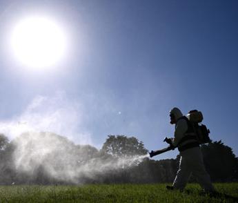 dengue coppia contagiata in umbria avevano fatto un viaggio allestero 2