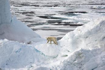 virus giganti trovati per la prima volta nei ghiacci dellartico 2