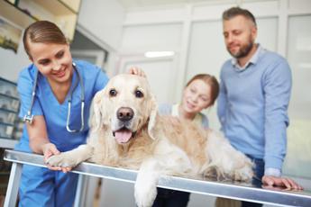 universita a roma tor vergata il nuovo corso di laurea in medicina veterinaria 2