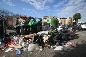 caldo e rifiuti a roma ordine medici e emergenza rischio larve topi e blatte 2