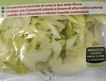 listeria in insalata iceberg in busta richiamati lotti di 19 marchi 2