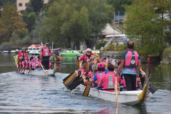 tumori tappa torinese per la prevenzione cardio oncologia del dragon boat festival 2