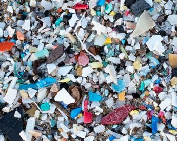 microplastiche anche nel cervello pari a un terzo di bottiglia 2