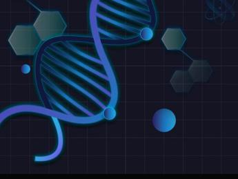 prima mappa del cervello adulto svelata la rete di neuroni e sinapsi 2