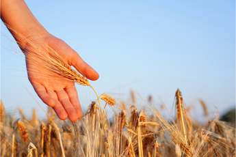 limmunologo allergeni occulti in reazioni allergiche mortali 2