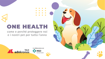 animali domani alle 11 il talk per proteggere dalle zecche noi e nostri animale 2