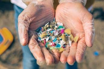 salute cosi le microplastiche minacciano la fertilita delle donne lo studio 2