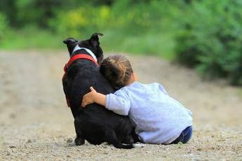 non diamo la colpa ai cani pediatri e veterinari per convivenza sicura con bimbi 2